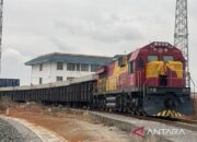 Angkutan kargo dari Guangxi fasilitasi perdagangan NEV China-Indonesia